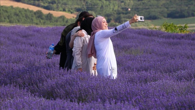 ئەڵف بێی بریاری دایکایەتی
